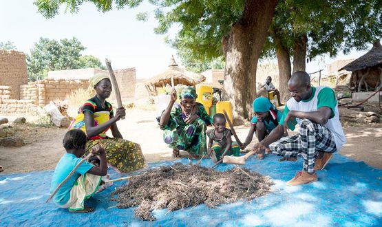 Burkina Faso: Traditionelles Saatgut schützt vor Hunger Burkina Faso: Traditionelles Saatgut schützt vor Hunger