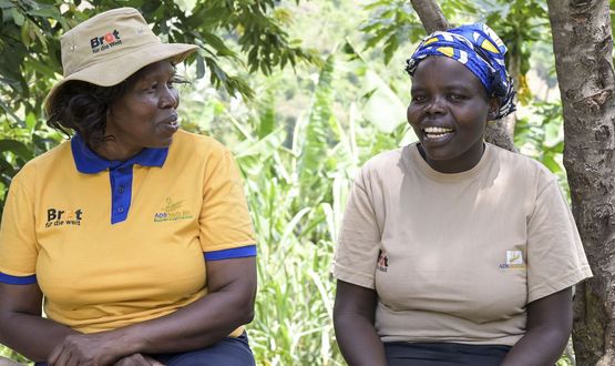 Erfolge und Grenzen der Entwicklungszusammenarbeit