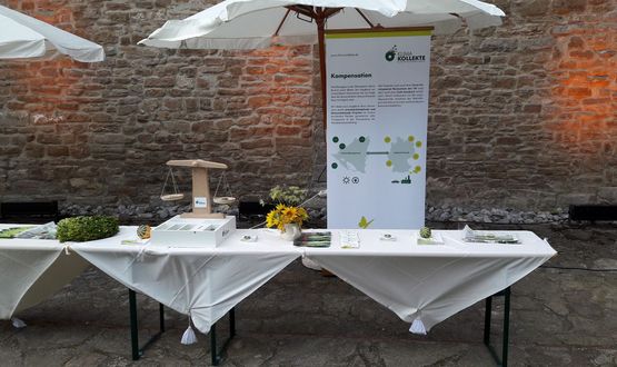 Ausstellungen
