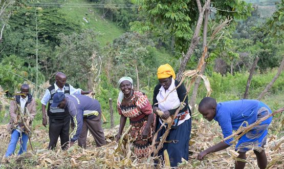 Kenia: Hunger überwinden