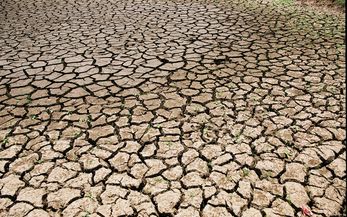Dürre als Vorbote des Klimawandels